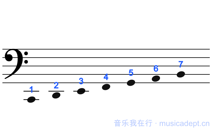 大字组：1 在低音谱表下加二线